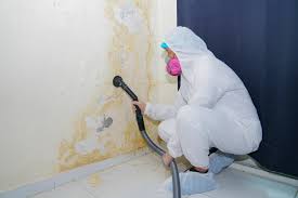 Mold Remediation for Rental Properties